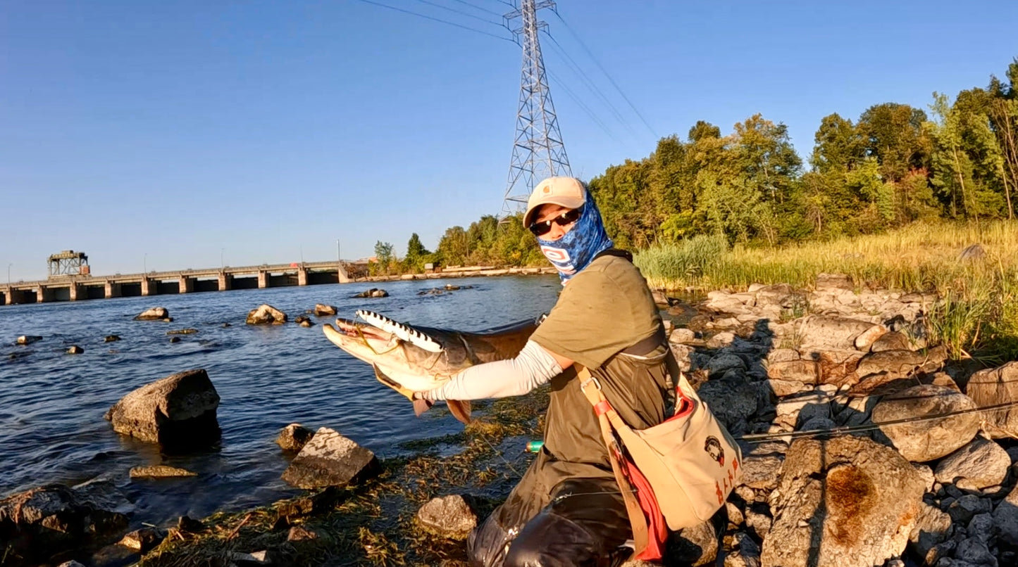 ACOCA Giveaway-#5 Handmade Topwater Walk-Dog 7''/9''