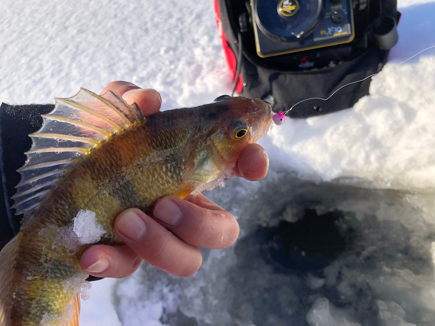 ACOCA H SUPER™ Ice Jigs Bubble Eyes Five Cuties 1/18 oz 1.5 g Hook #10 5/pack