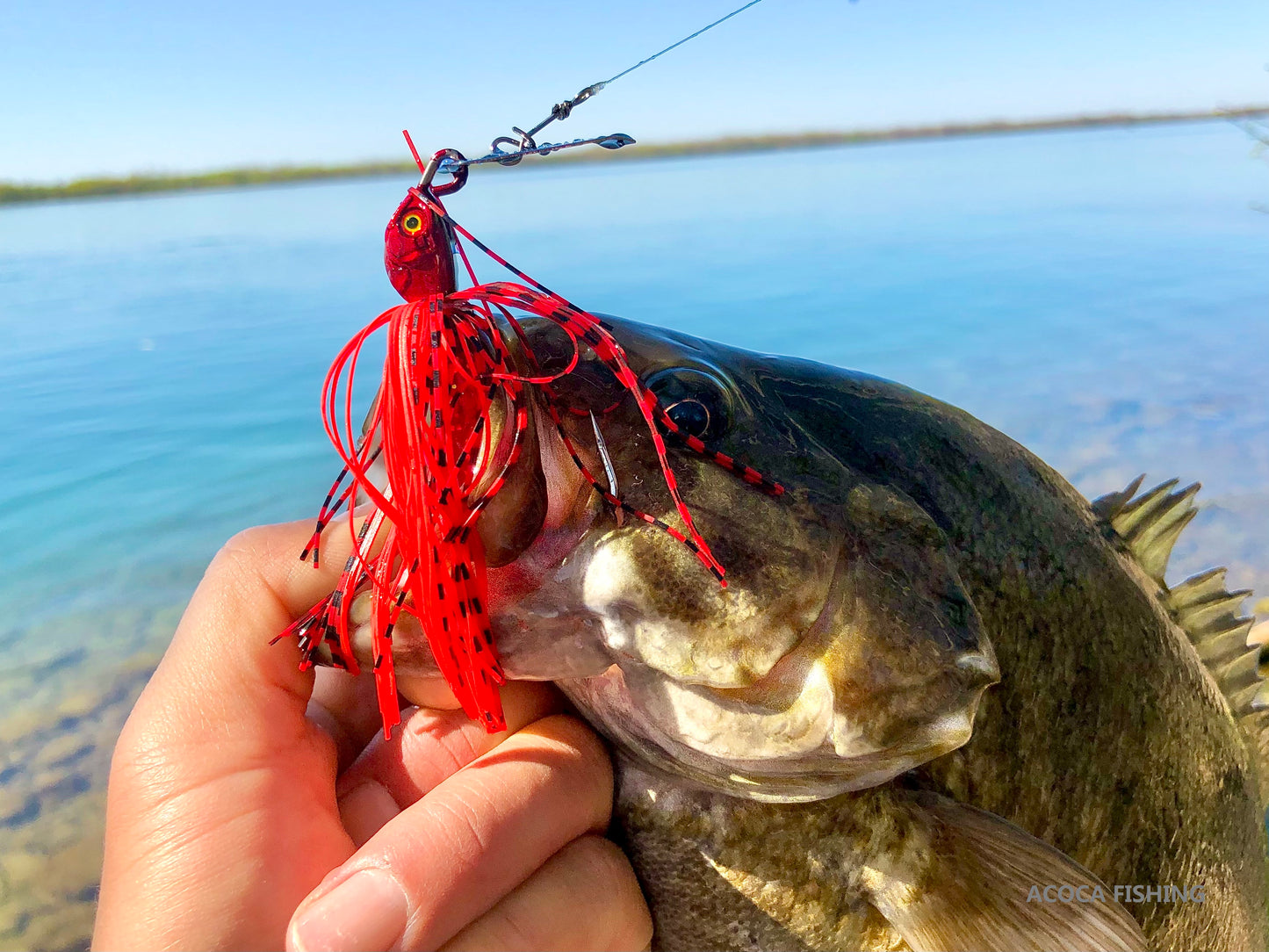 ACOCA #3 SUPER™ Chatter Jigs Four Beauties 3/8oz Lead Head /Total Weight 1/2oz Hook #4/0